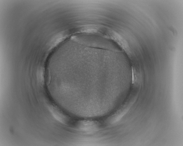 X0000115670300200911251736