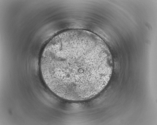 X0000115670302200911251736