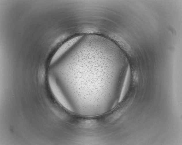 X0000115670304200911251736