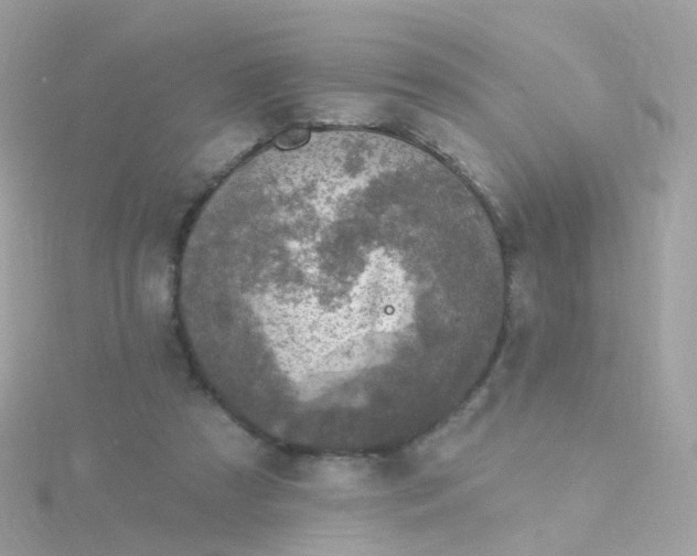 X0000115670305200911251736