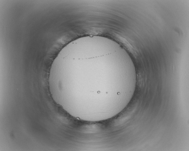 X0000115670307200911251736