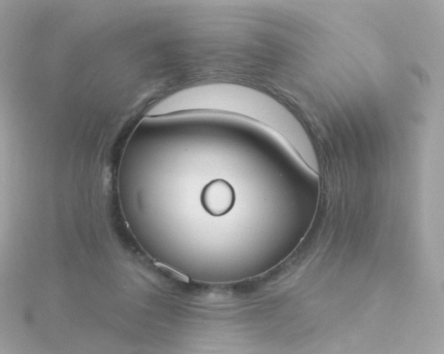 X0000115670308200911251736