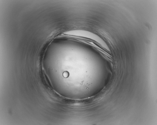 X0000115670312200911251736