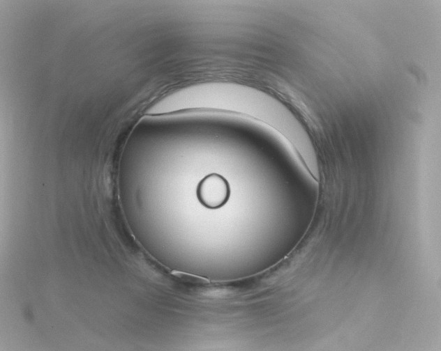 X0000115670313200911251736