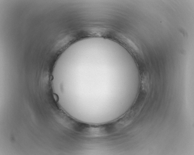 X0000115670314200911251736