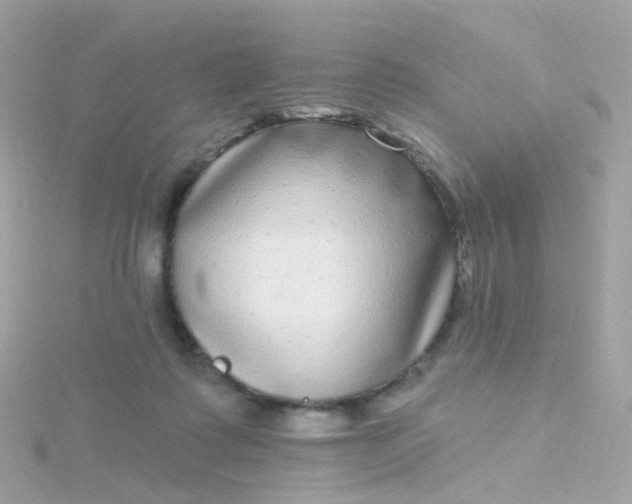 X0000115670315200911251736