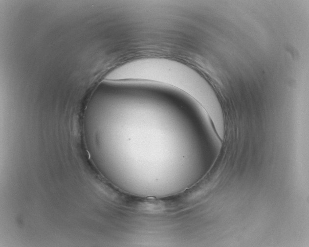 X0000115670317200911251736