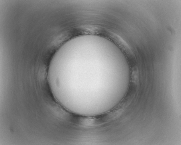 X0000115670318200911251736