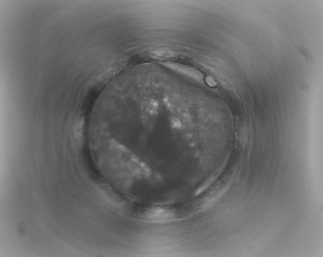 X0000115670319200911251736