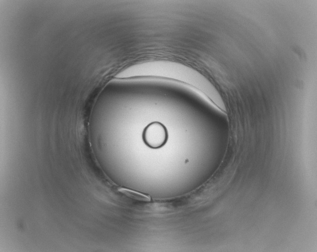 X0000115670320200911251736