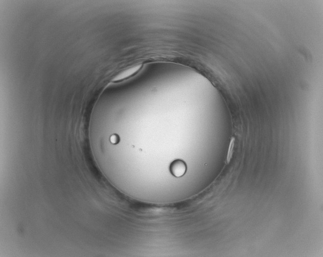 X0000115670323200911251735