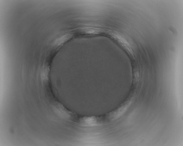 X0000115670325200911251735