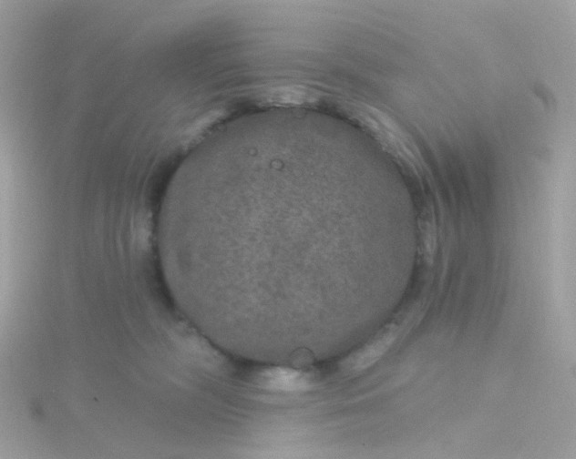 X0000115670326200911251735