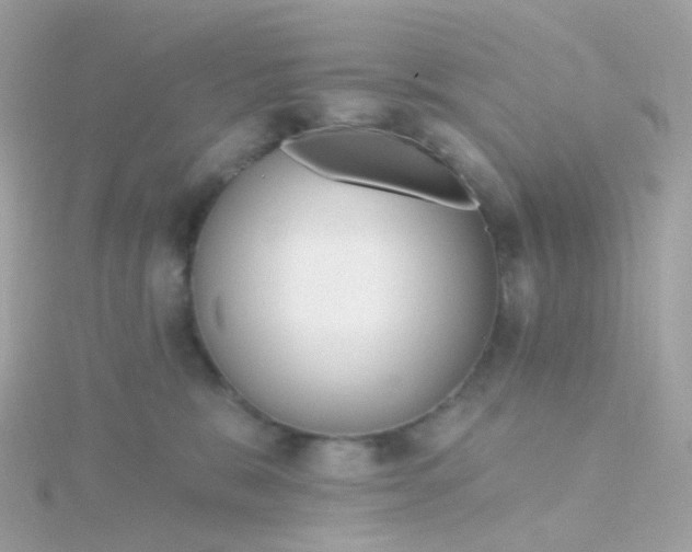 X0000115670327200911251735