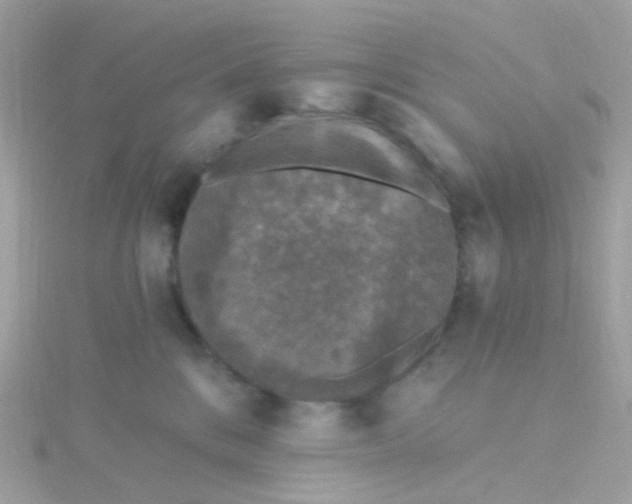 X0000115670328200911251735