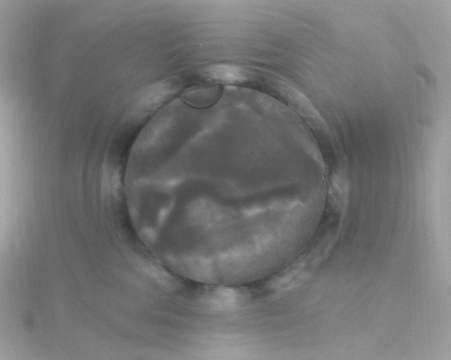 X0000115670330200911251735