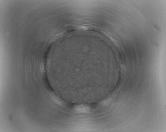 X0000115670331200911251735