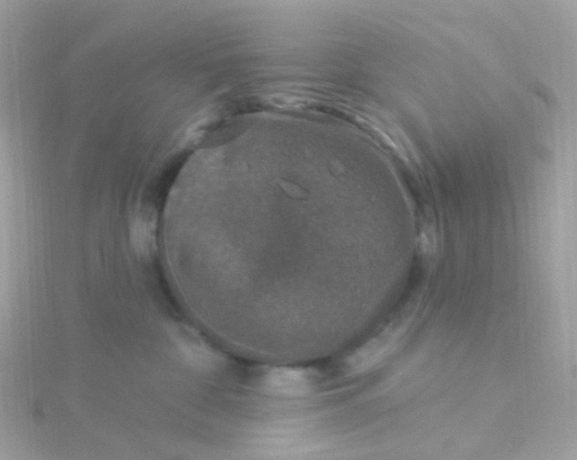 X0000115670332200911251735