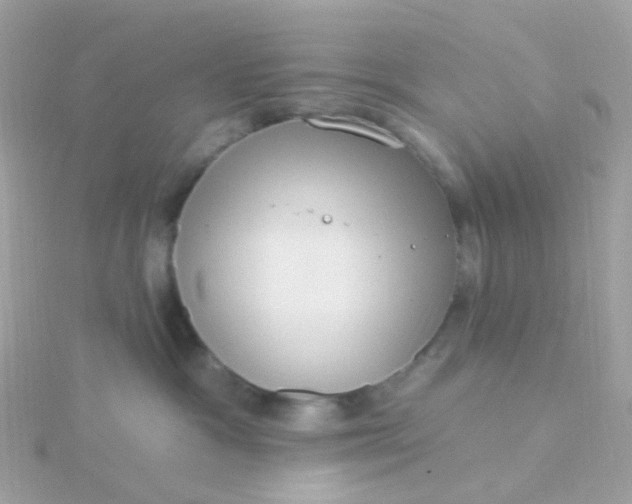 X0000115670333200911251735