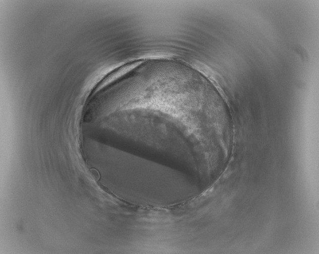 X0000115670337200911251735