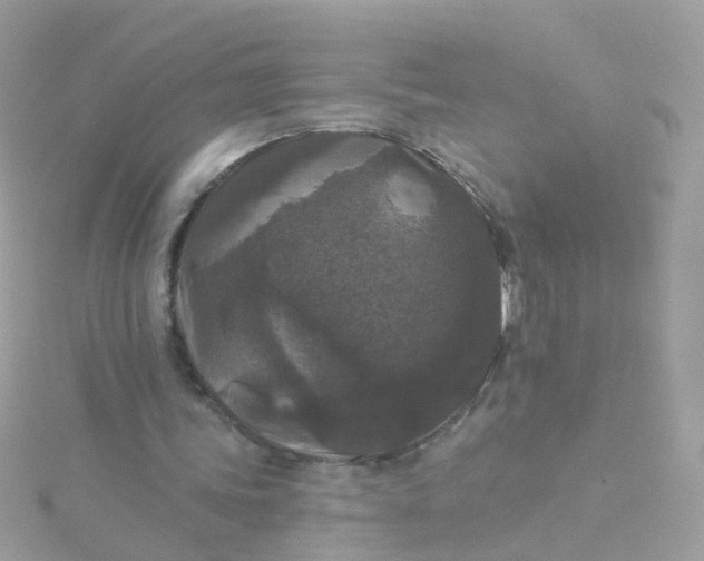 X0000115670339200911251735