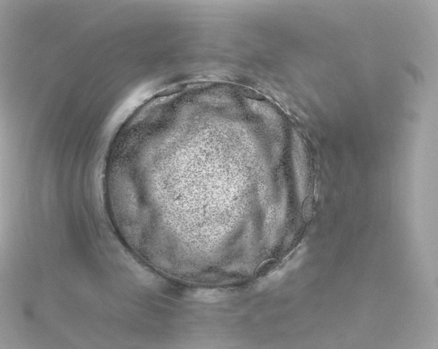 X0000115670341200911251735