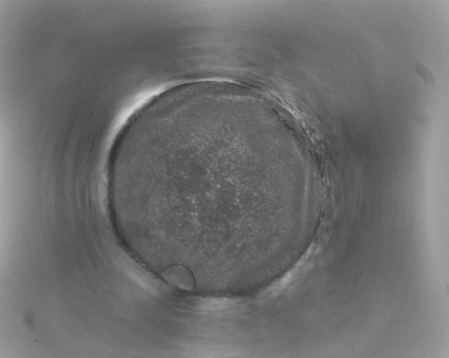 X0000115670342200911251735