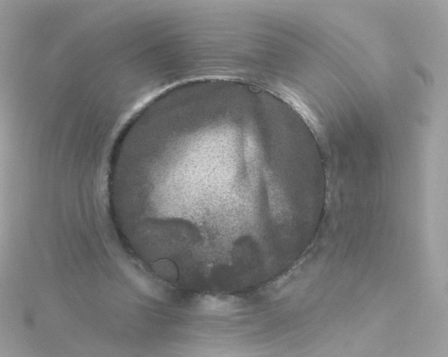 X0000115670346200911251735