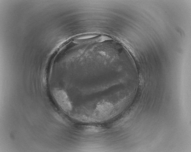 X0000115670347200911251735