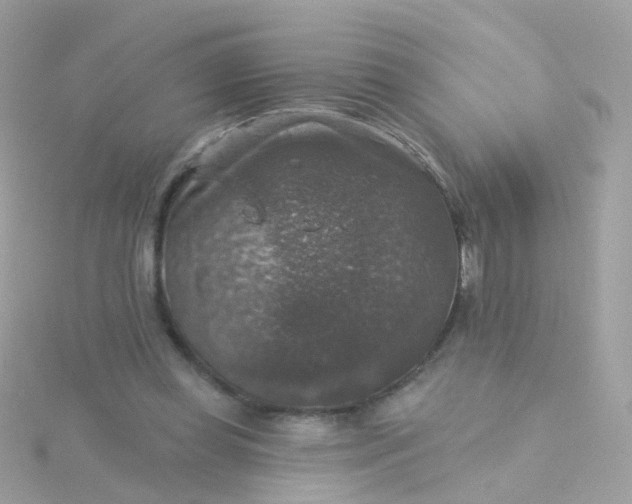 X0000115670349200911251735