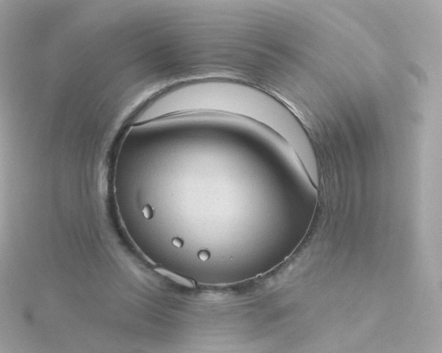 X0000115670350200911251735