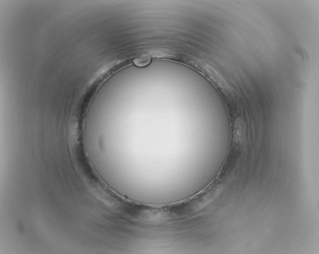 X0000115670351200911251735