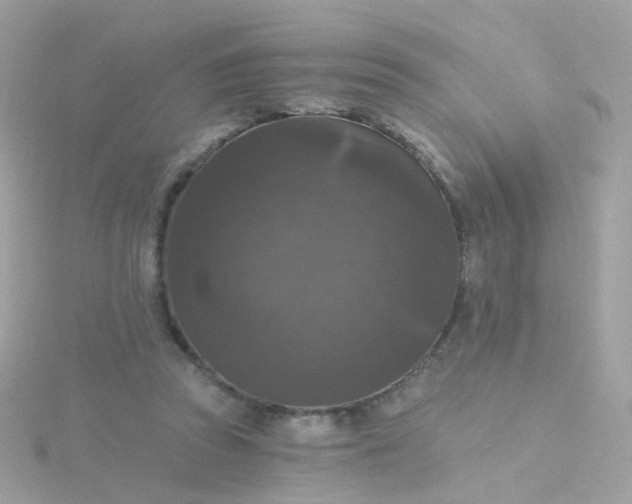 X0000115670353200911251735