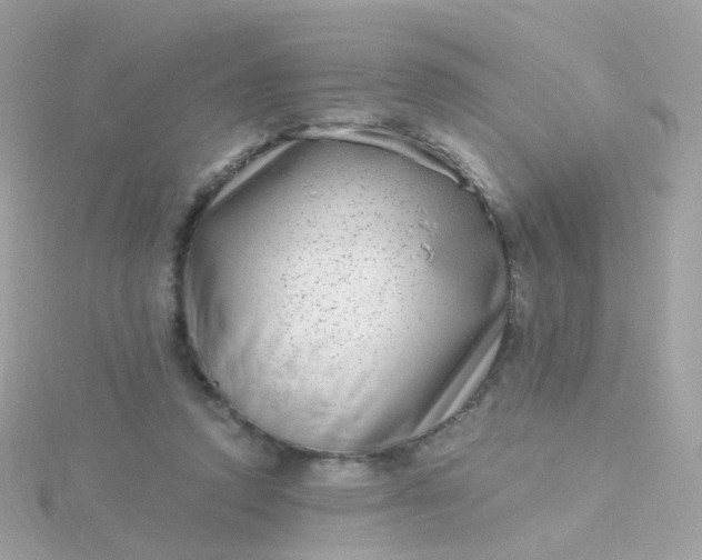 X0000115670354200911251735