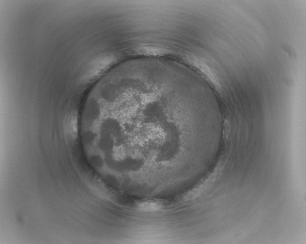 X0000115670358200911251735