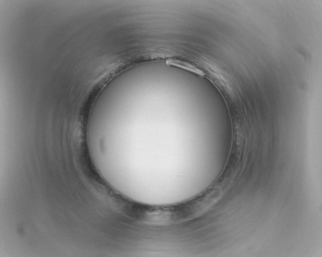 X0000115670362200911251735