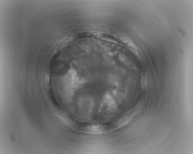 X0000115670365200911251735