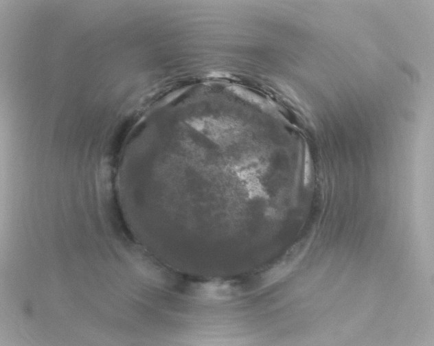 X0000115670366200911251735