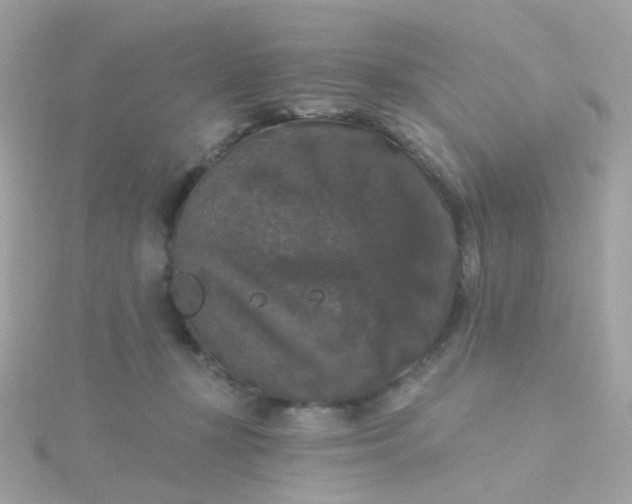 X0000115670367200911251735