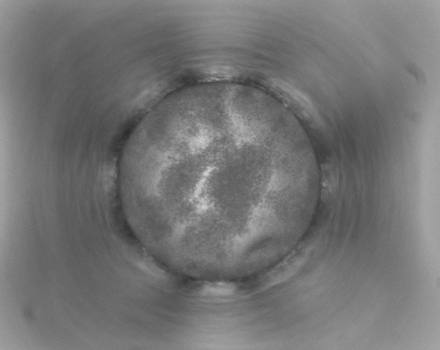 X0000115670369200911251735