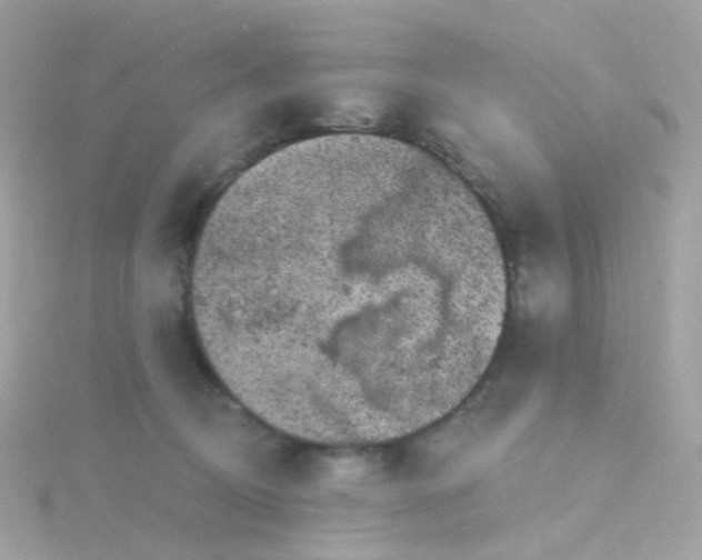 X0000115670370200911251735