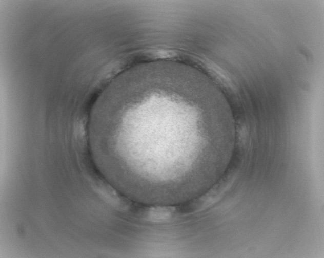 X0000115670373200911251735