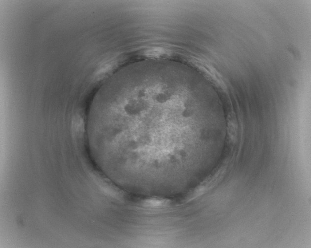 X0000115670375200911251735