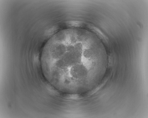 X0000115670377200911251735