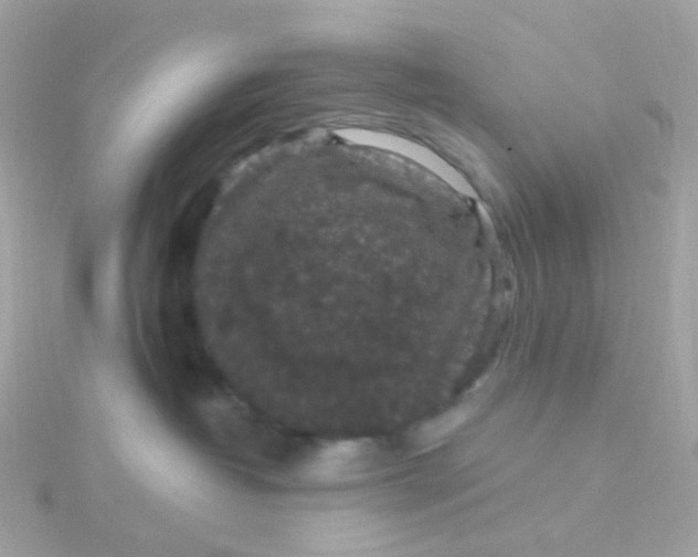 X0000115670382200911251735