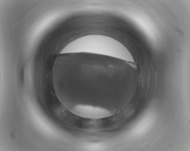 X0000115670383200911251735