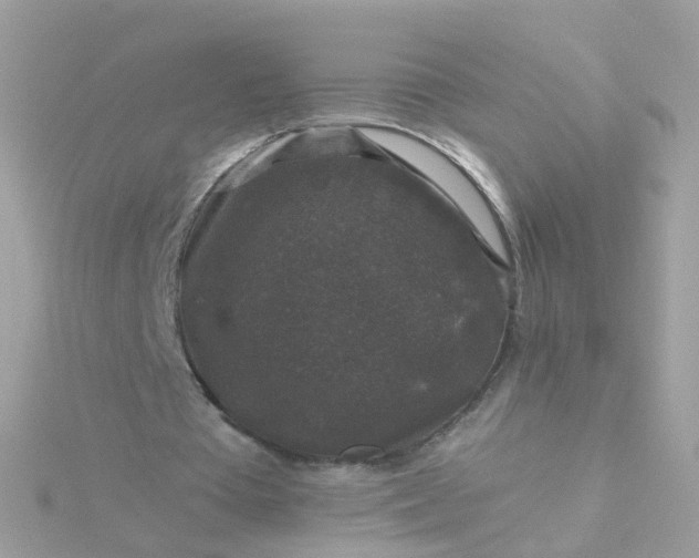 X0000115670385200911251735