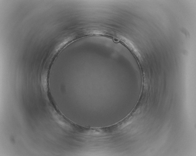 X0000115670386200911251734