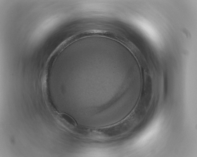 X0000115670387200911251734