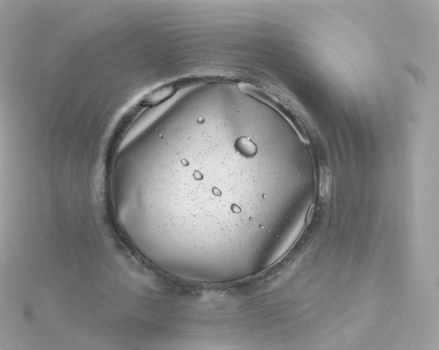 X0000115670388200911251734